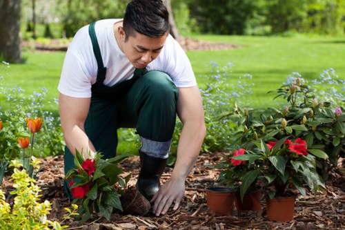 Keyboard navigation on a Holborn landscaping accessibility page