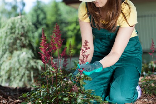 Example Holborn property landscaping job near busy central streets