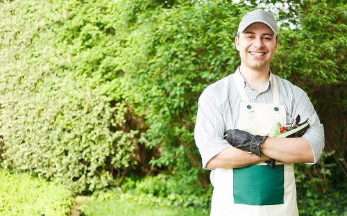 Professional garden makeover options for Holborn homes and commercial properties