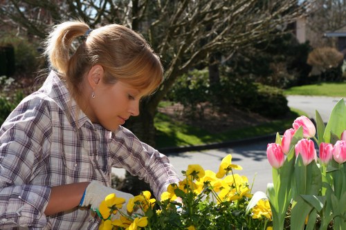 Holborn landscaping pricing breakdown for a modern terrace or courtyard